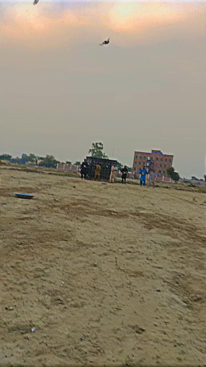 @عدیل رحمن لیہ وال کبوتر باز