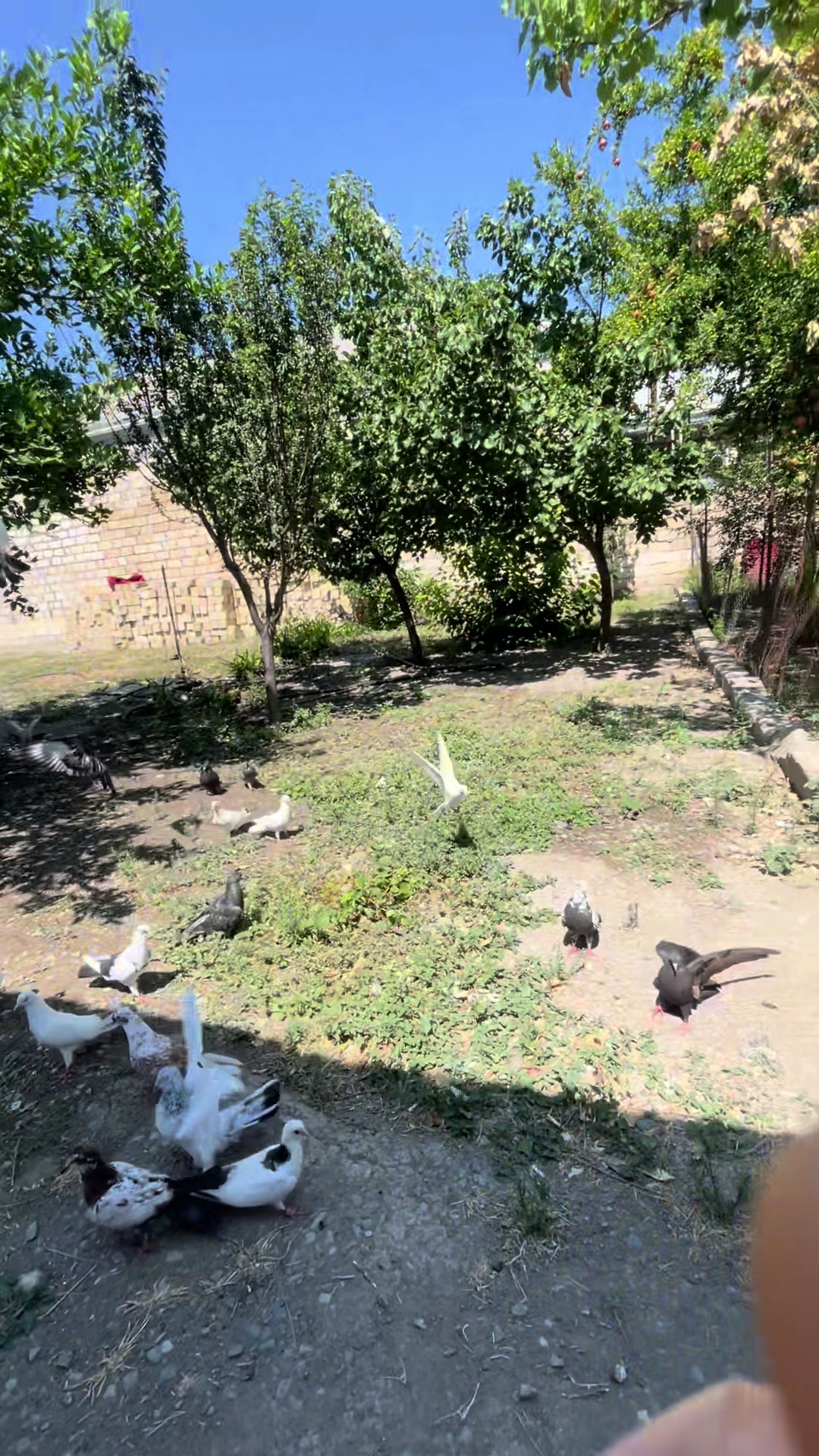 @𝗧𝗲𝘇𝗲 𝗠𝗲𝗵𝗹𝗲 🕊️