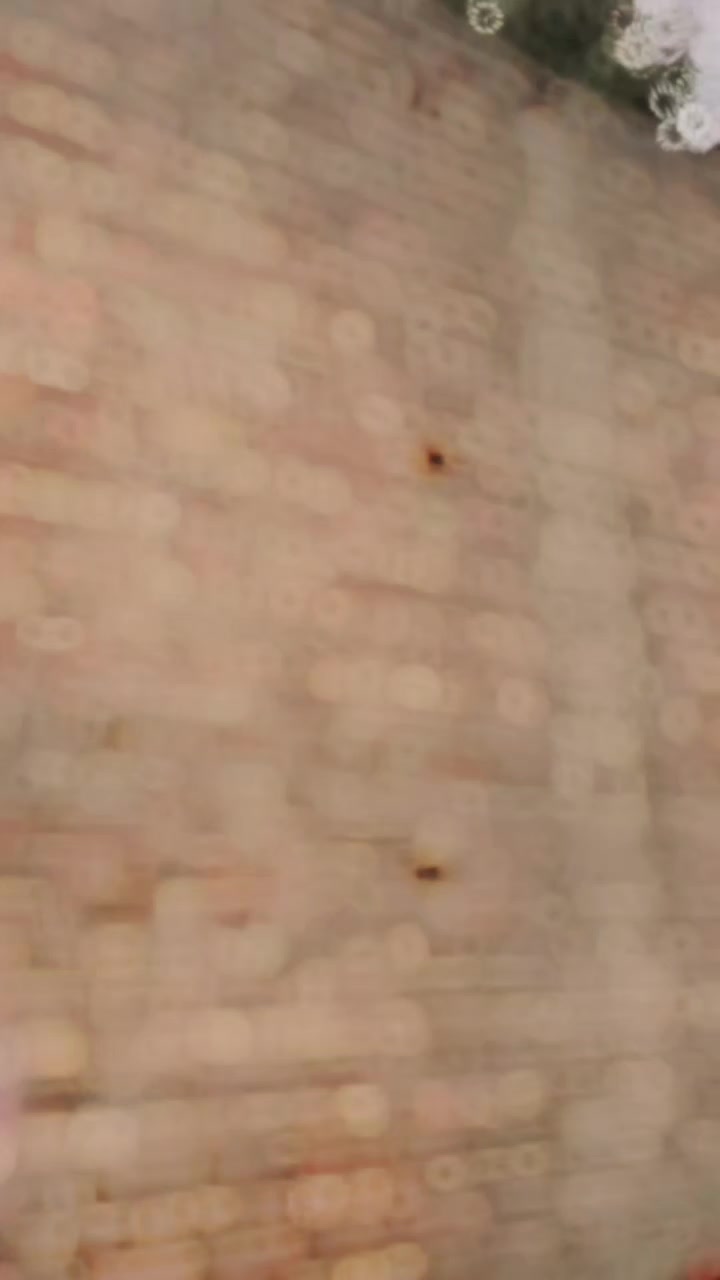 @RAجpooT 1🚩