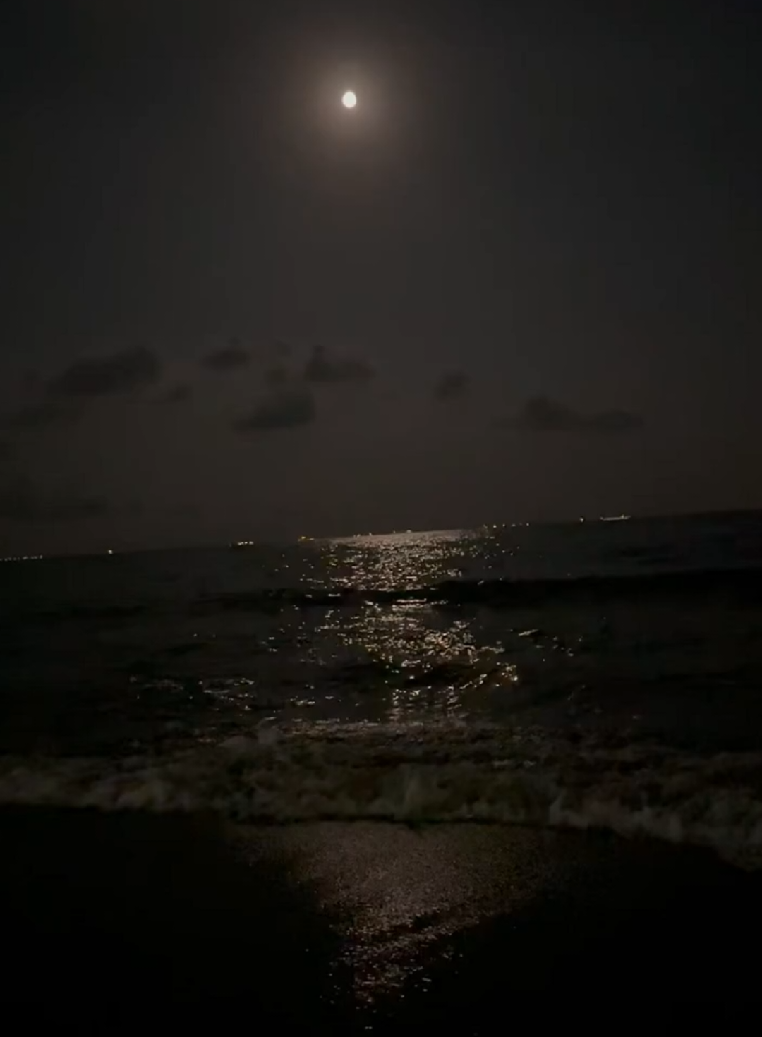 @🌊 .·:*¨Serays¨*:·. 🌊