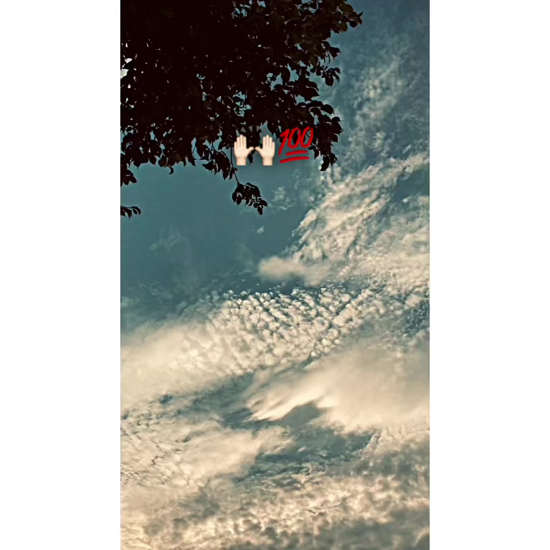@پنجاب ❤️🩹
