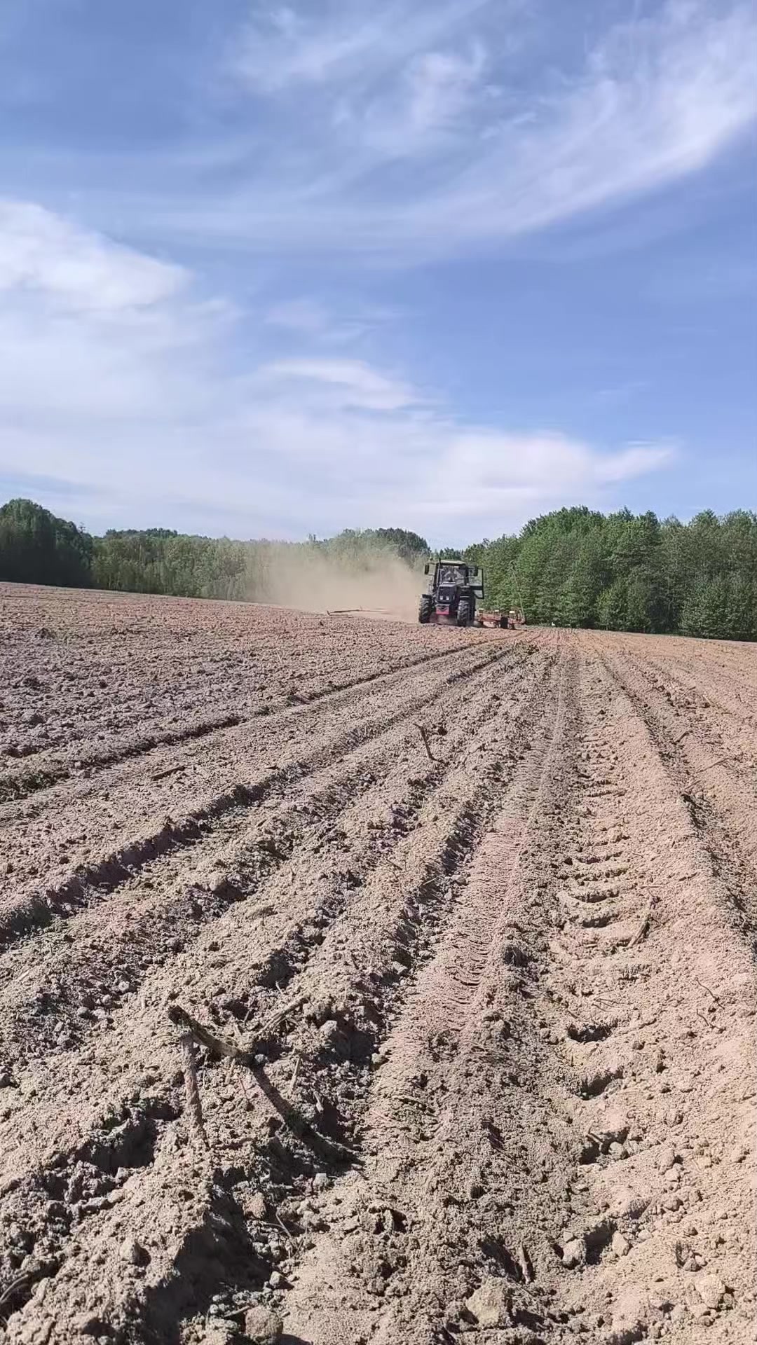 @🚜ⲇяⲇьⲕᥲ ᥲⲏⲧ𐔖ⲏ🚜