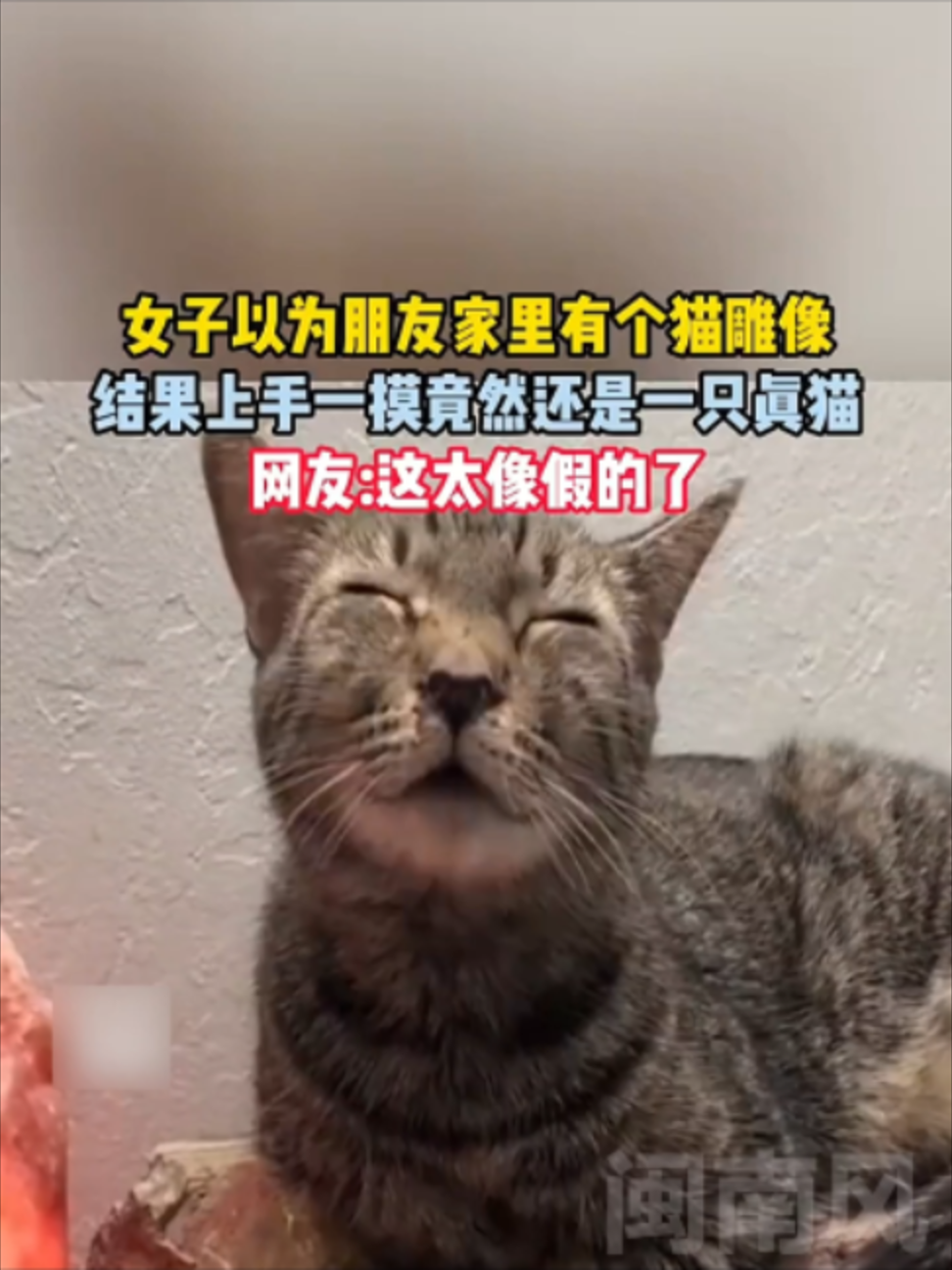 @闽南风~