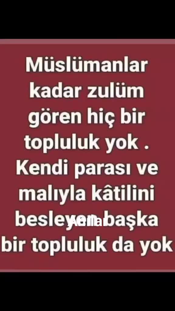 @imdat doğan
