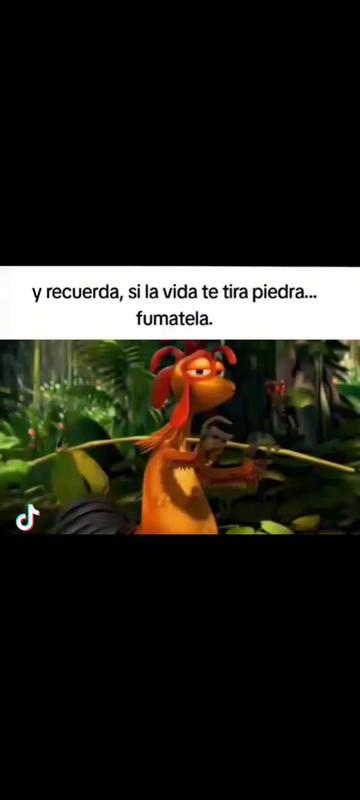 @x. 乂