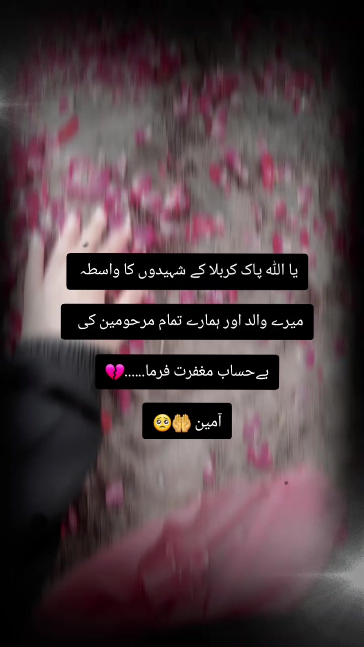 @❤️🦋🌻 تیری دیوانی 🌻🦋❤️