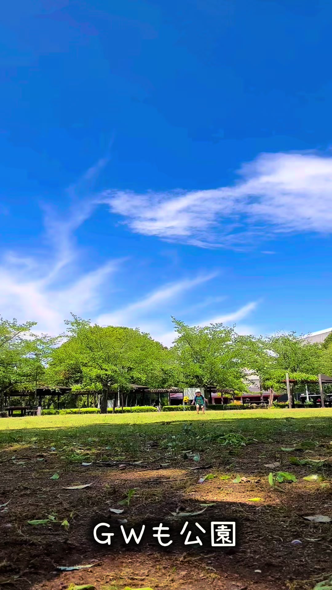 @伶 奈 💛