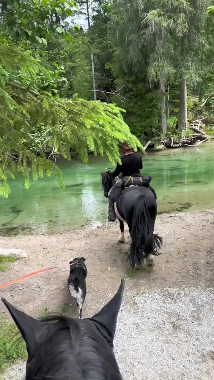 @ThunderGallops