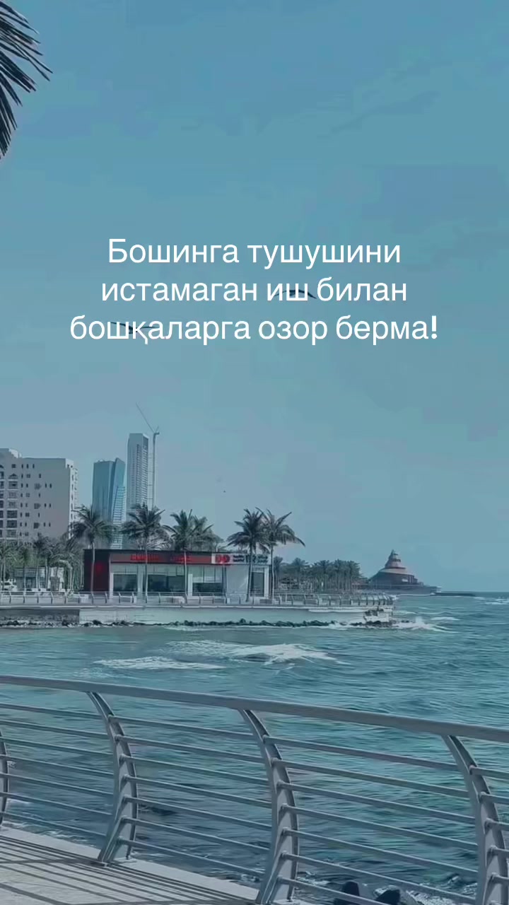 @Kozimjon (Abu Ali Muhammadiy)