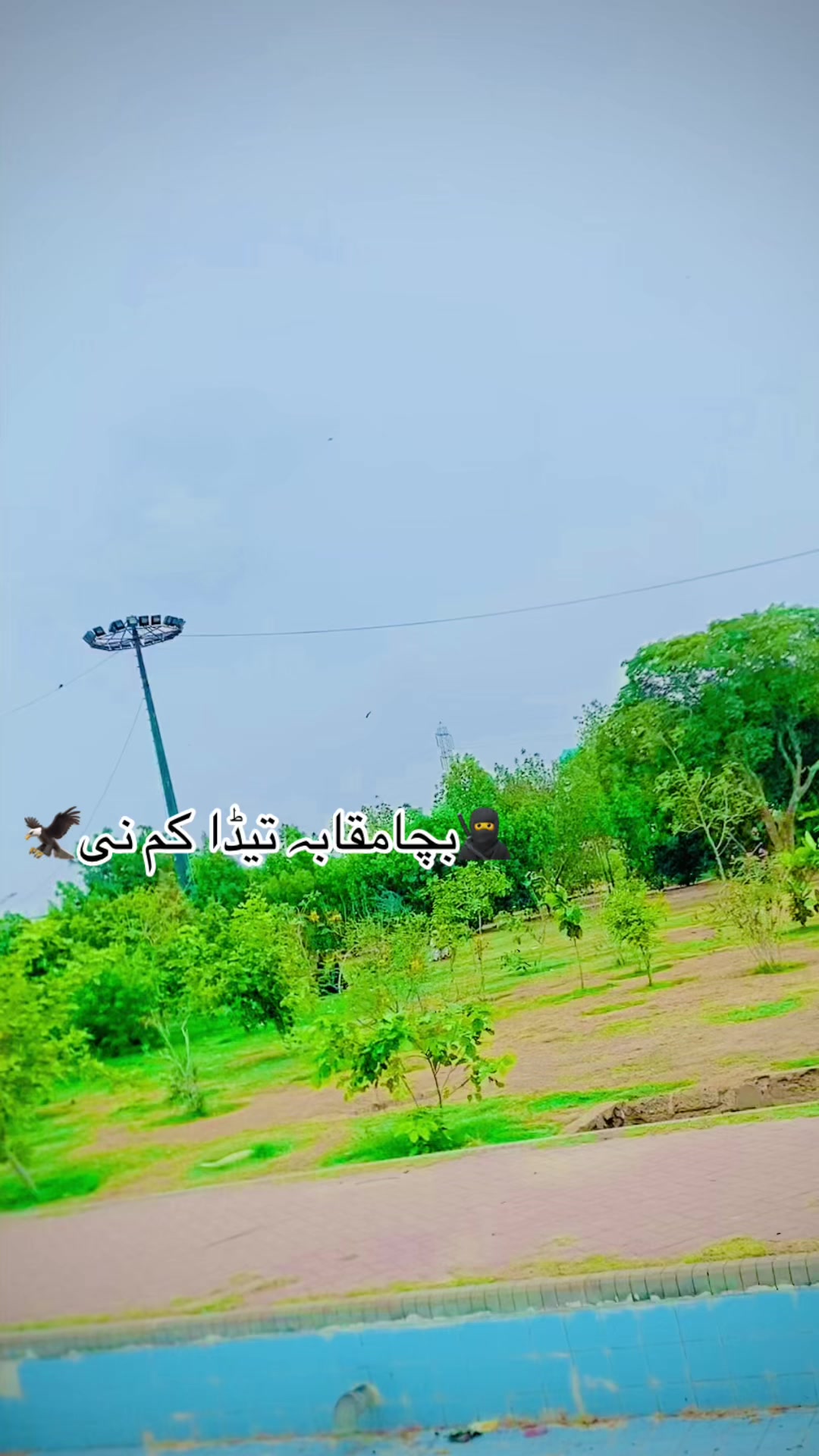 @|Z𝗂𝗱𝗱ꜞᵦǻc𝒉ɑ𒆜