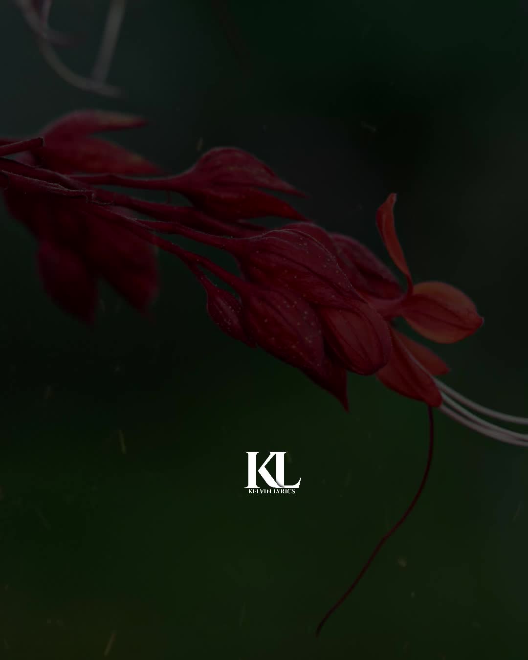 @𝐊𝐈𝐍𝐆 𝐎𝐅 𝐋𝐘𝐑𝐈𝐂𝐒