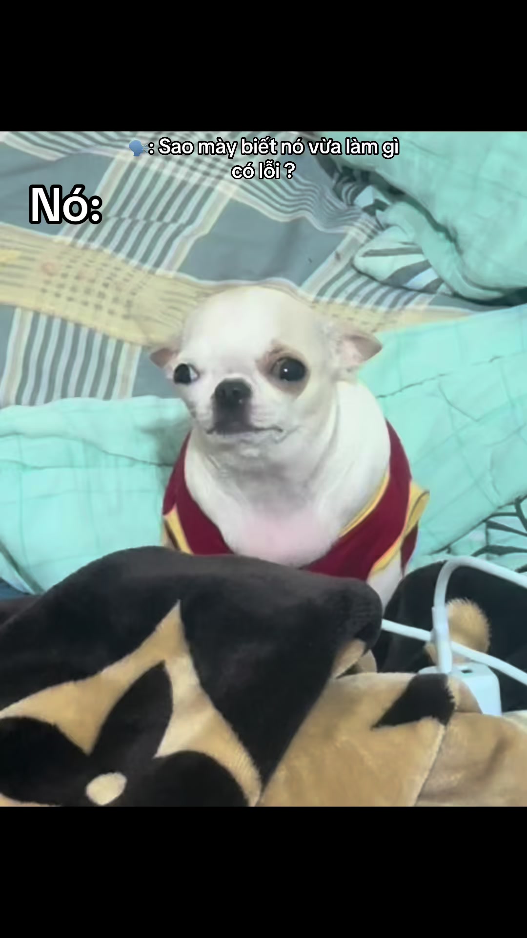 @L&uacute;n L&egrave;👽