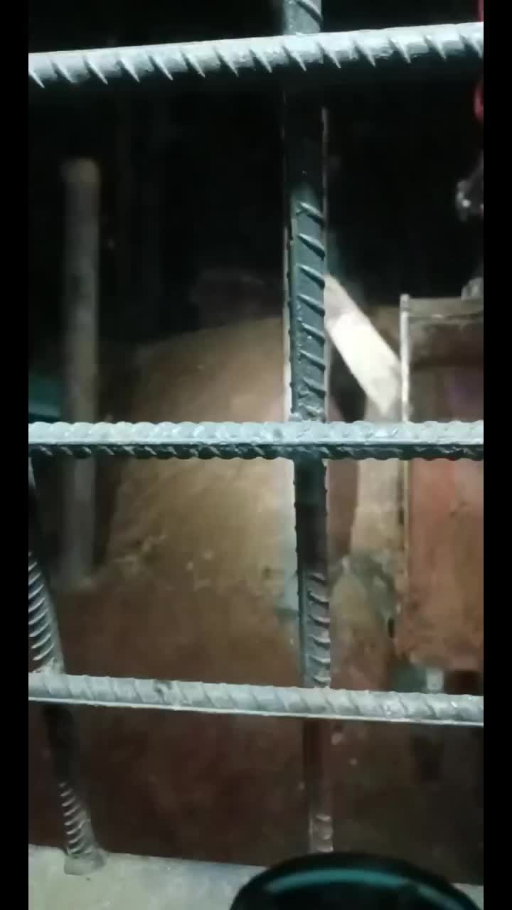 @M.Efendik