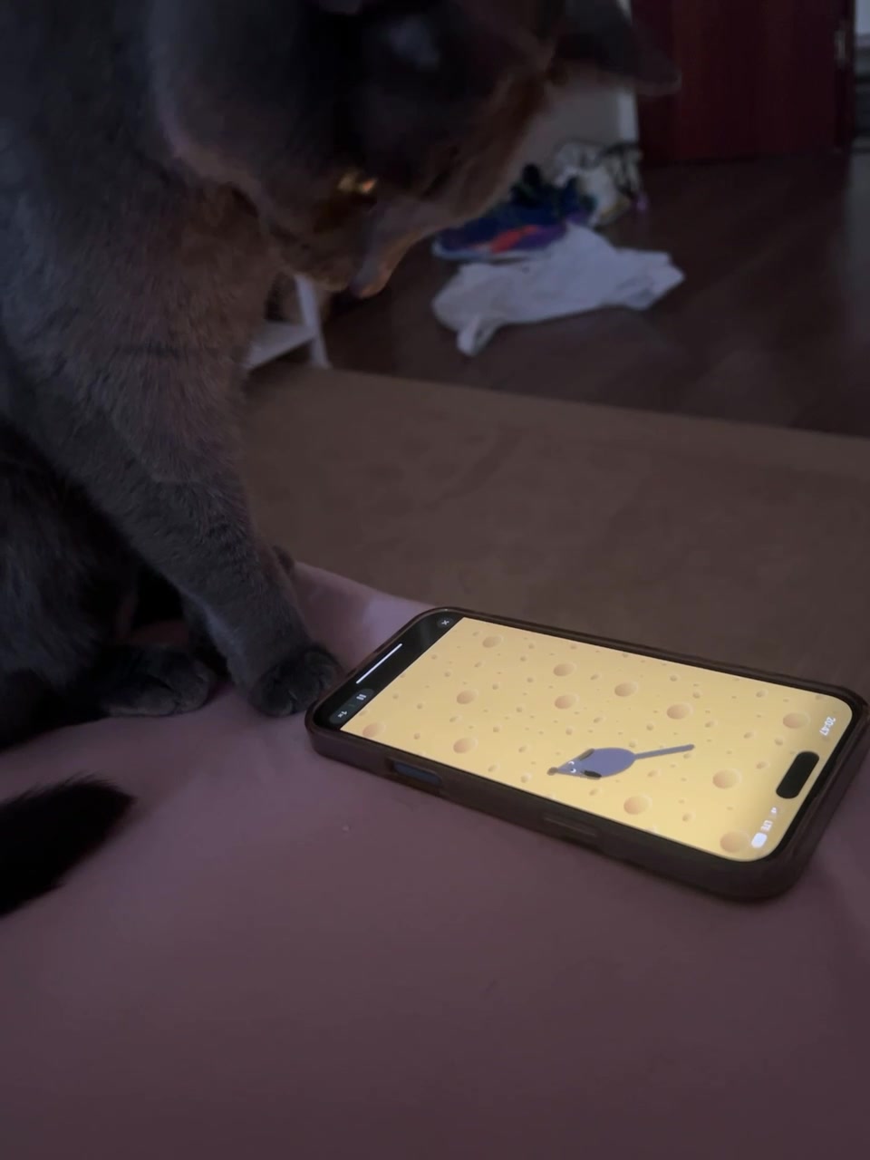 @danon_69
