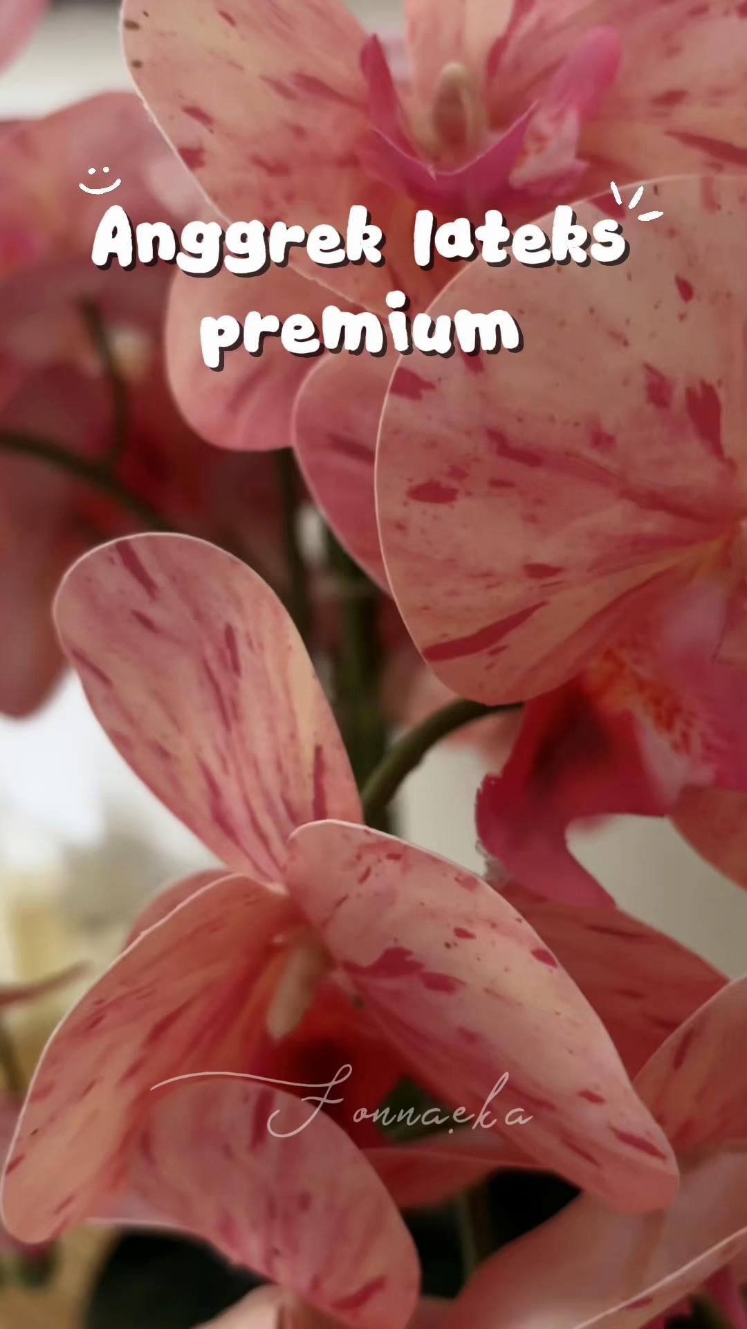 @RajaRatu22