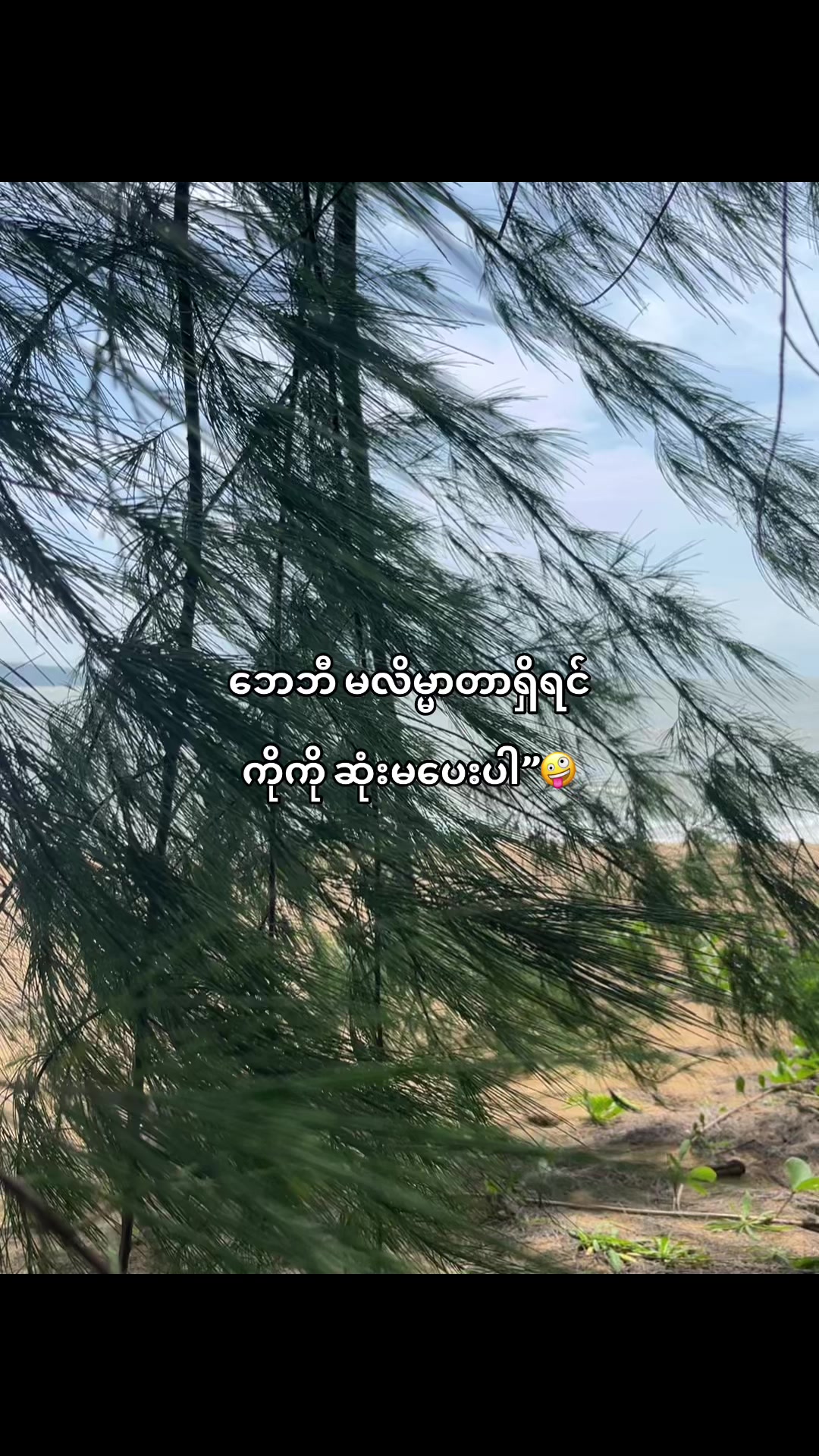 @ရှမ်းတူကရင်ရုပ်မွန်မ