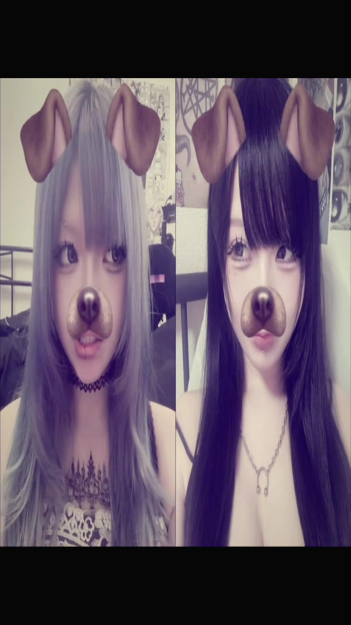 @にゃんぱすー。