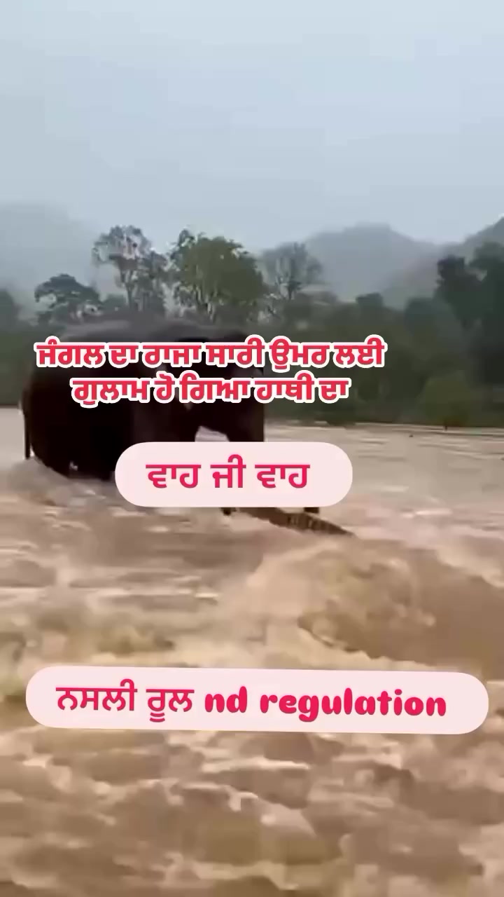 @Deepa jatt 17