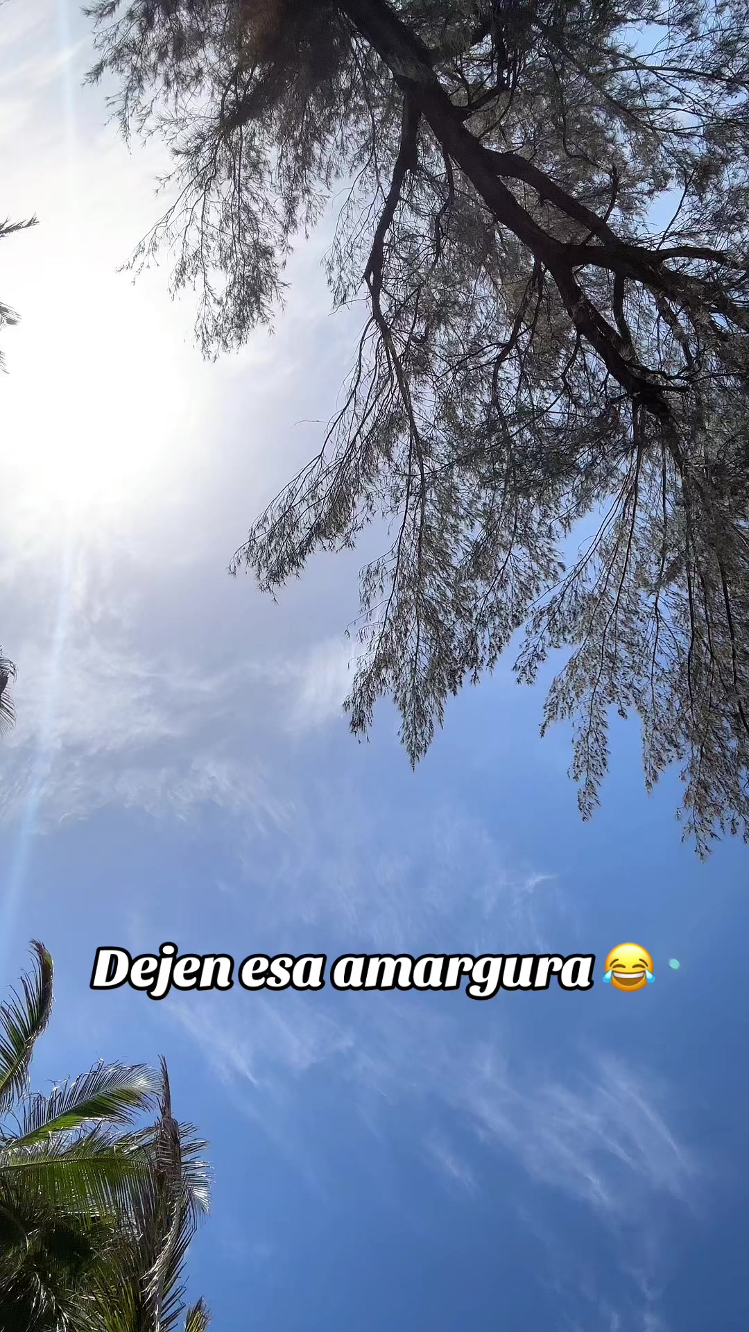 @borinica_