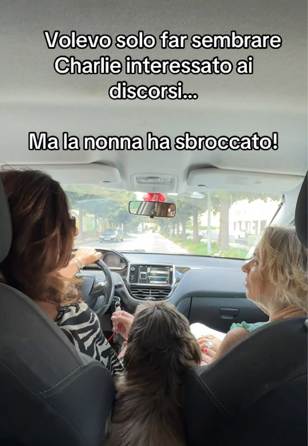 @mariapiadimaso