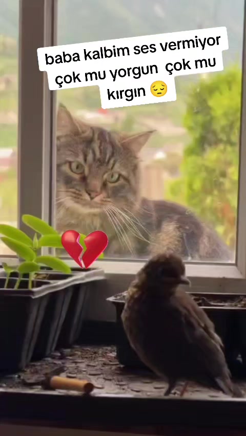 @gamzeli kızı 😊 minnoşlari