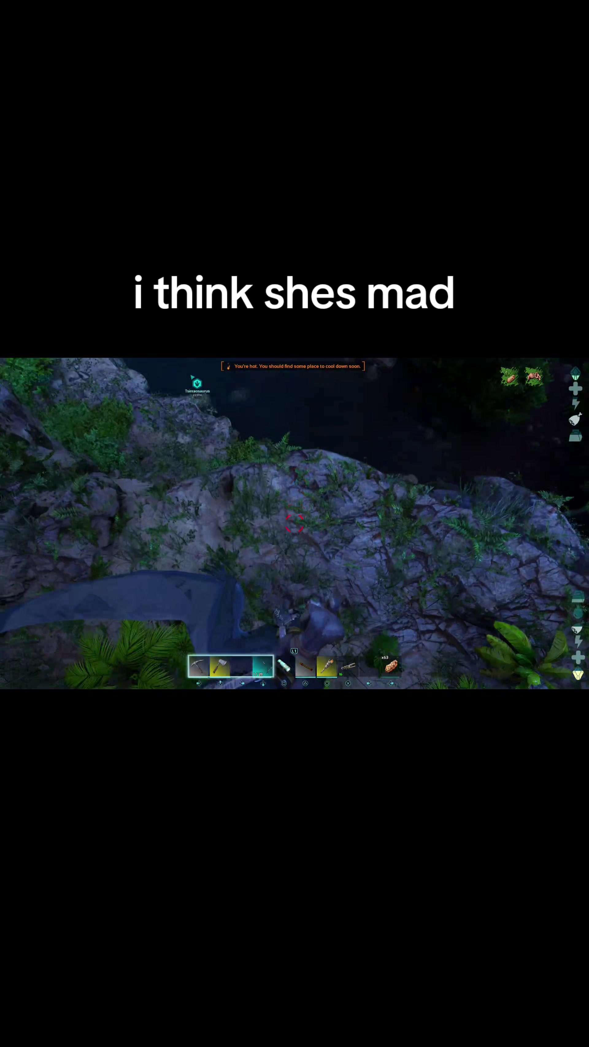 @Lopingchief302