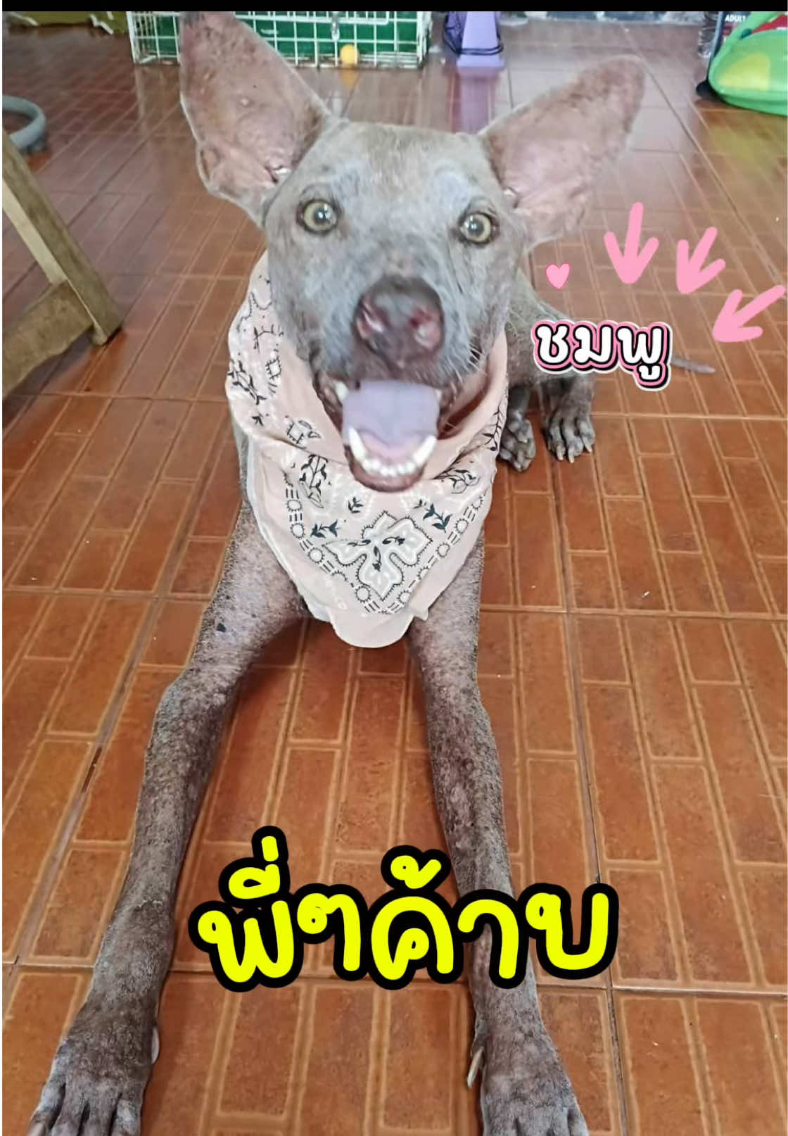 @ผมชื่อเฟิร์บ