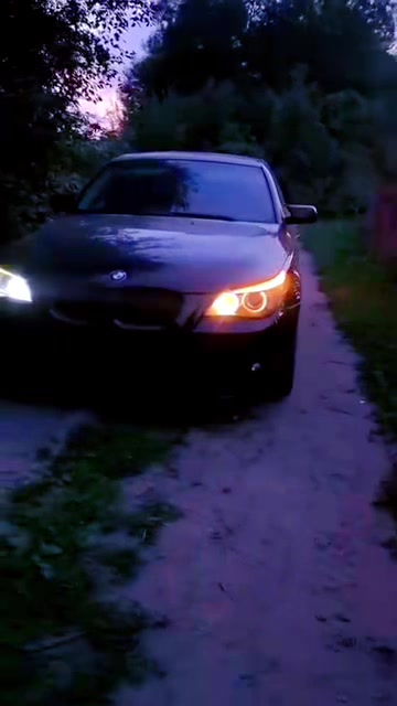 @🥷🏿🦊Та самая лисичка🦊🥷🏿