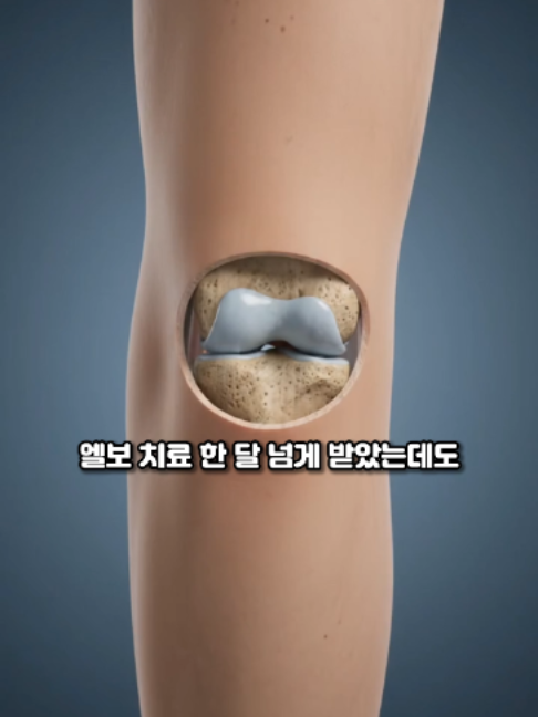 @견우한의원