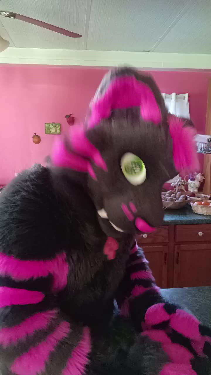@dingbat 🐾 mew,mew 🐾 🔜 AC26