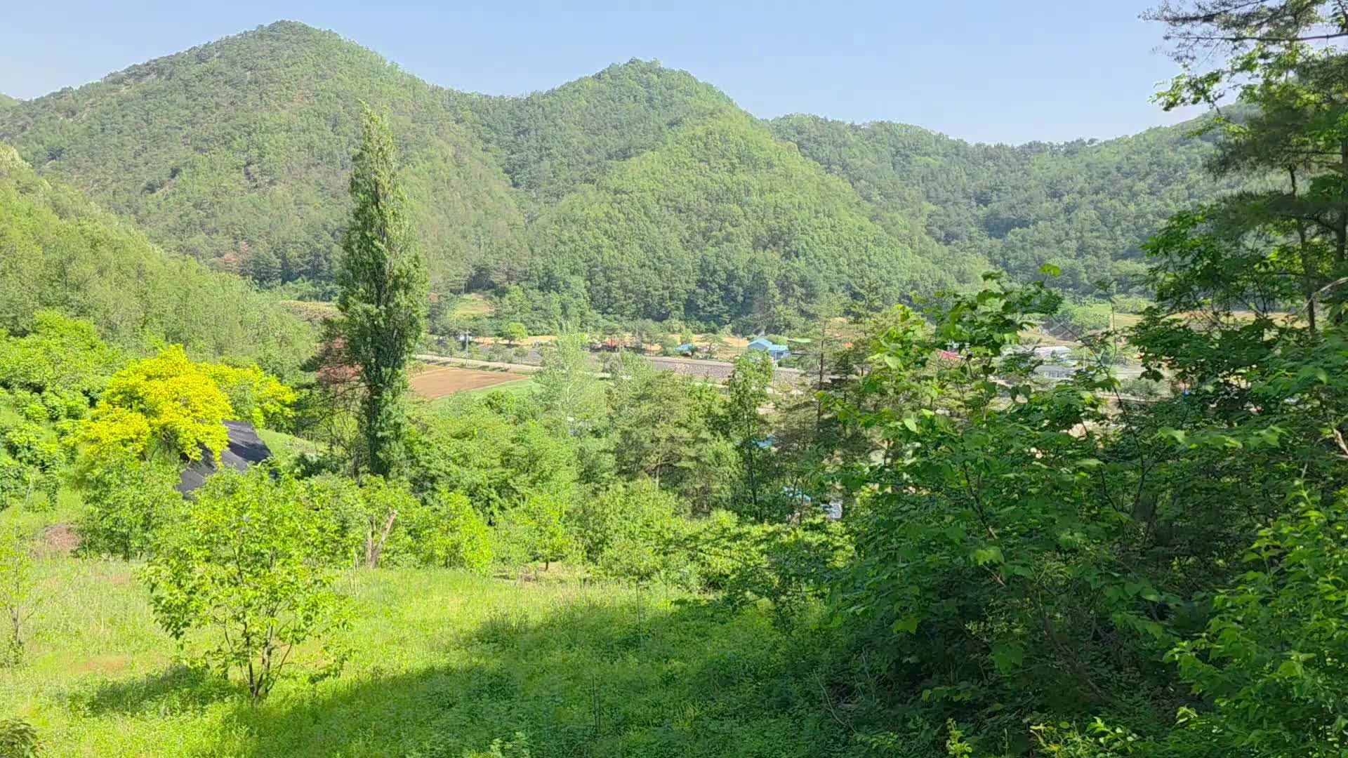 @유튜브 "정선사람들" 안용현