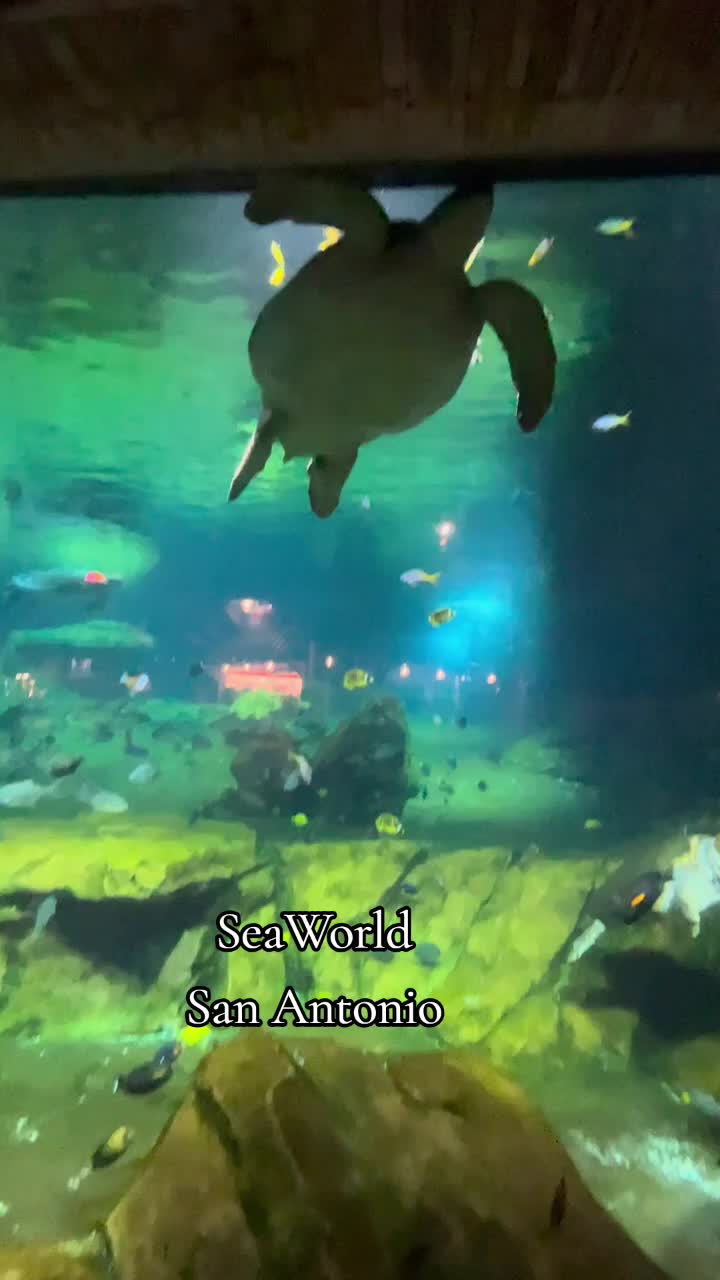 @Hubertcampbelltravels