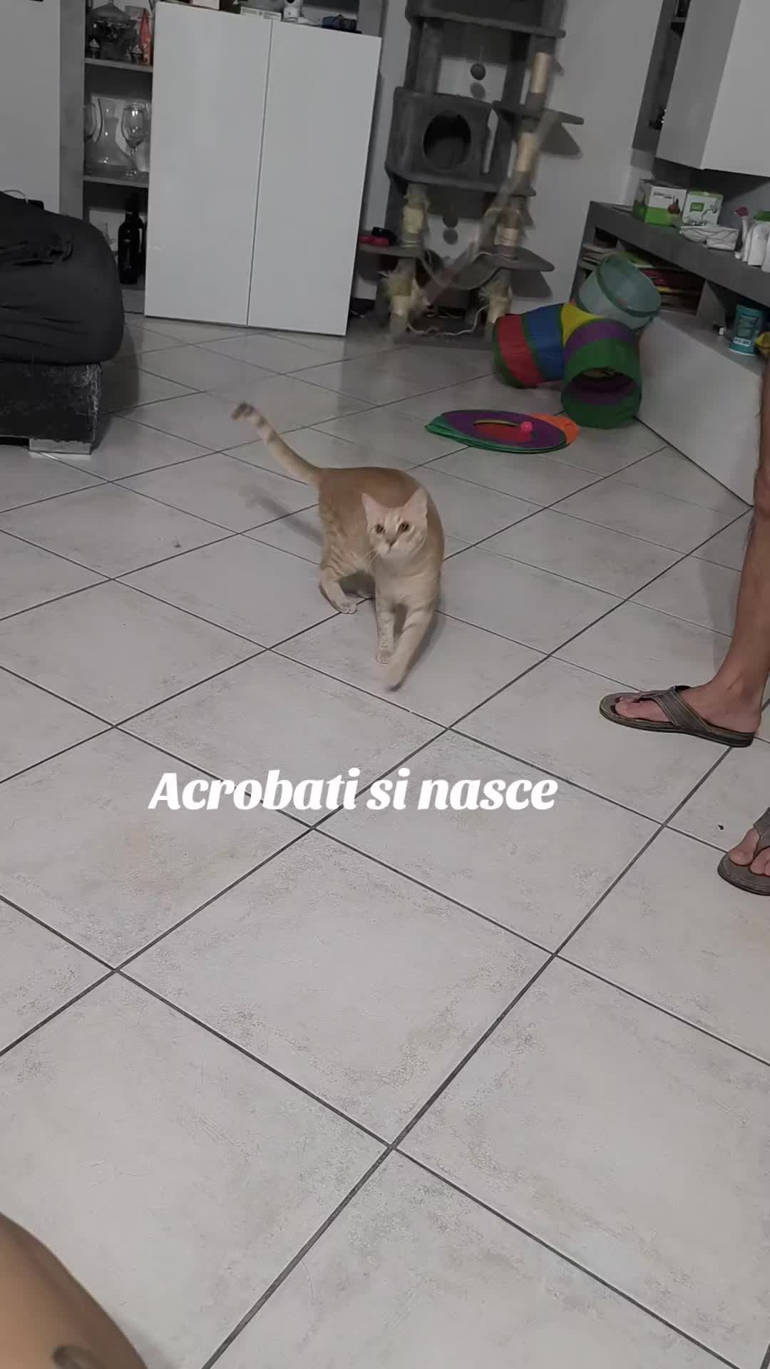 @Pina