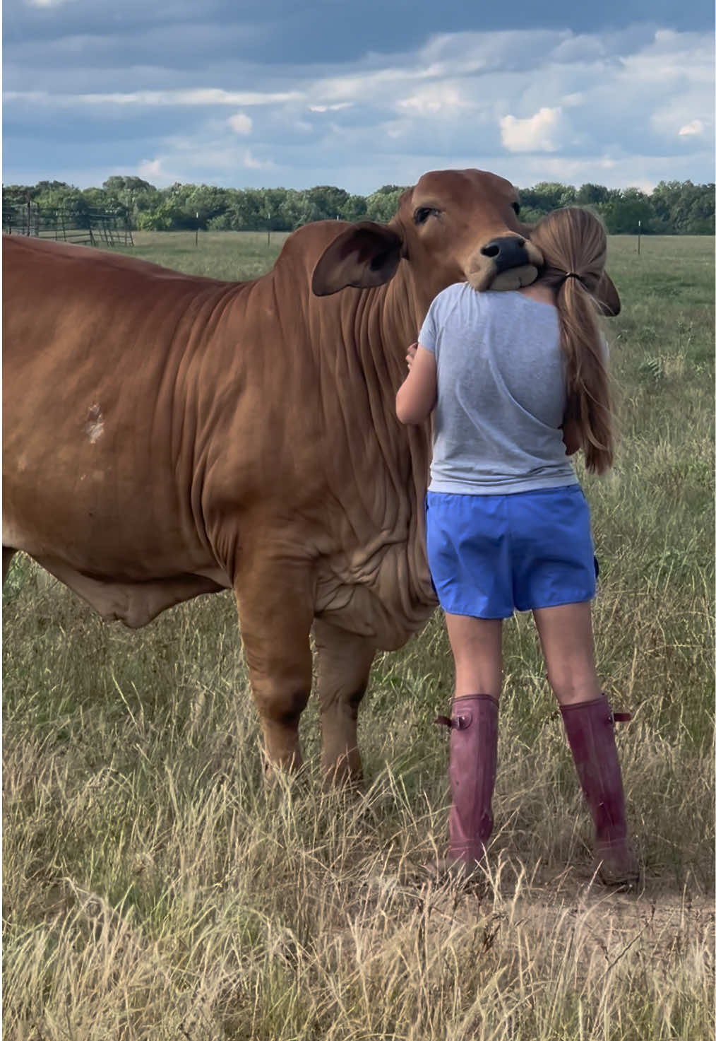 @The V6 Ranch