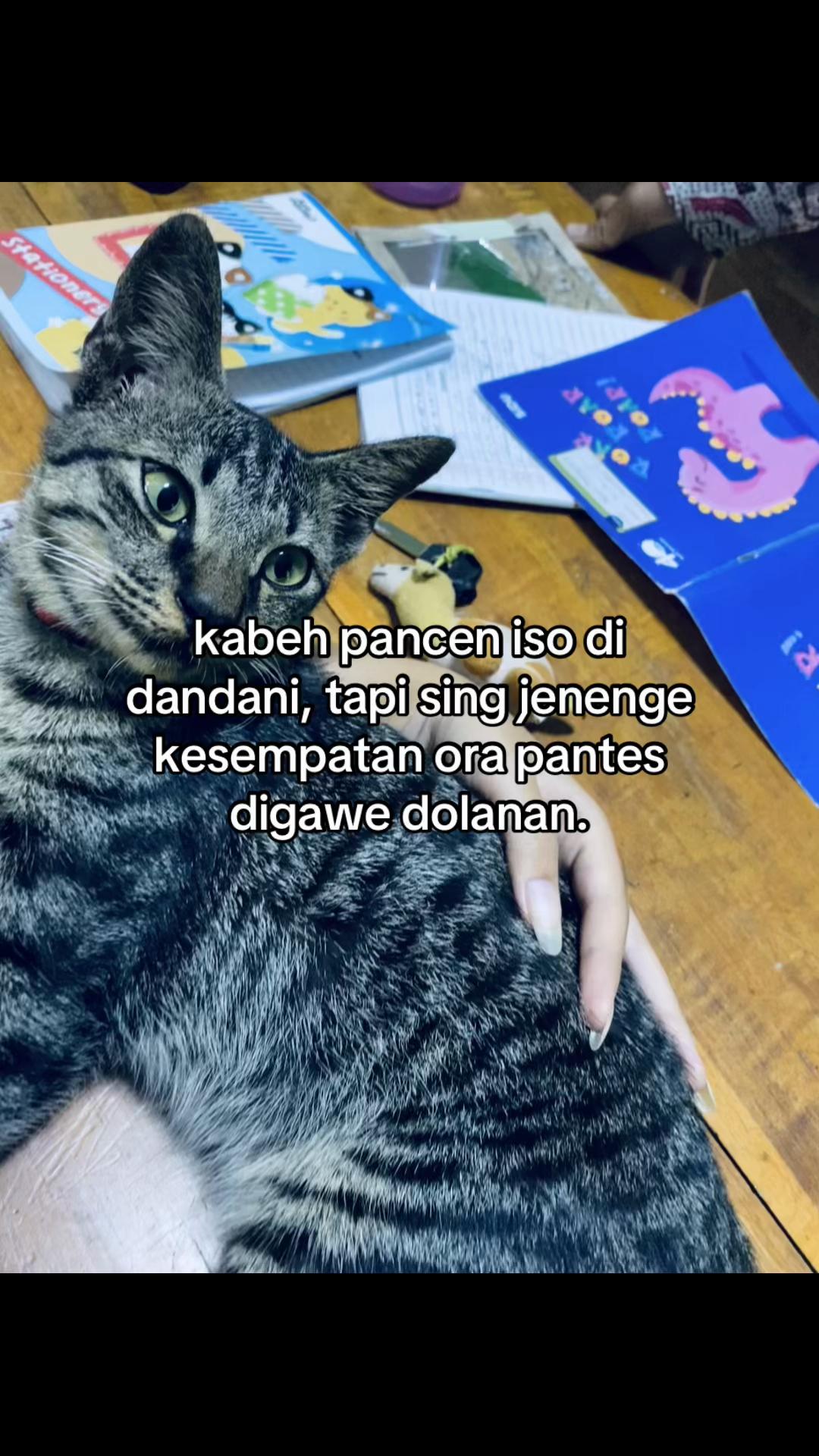 @blablabla