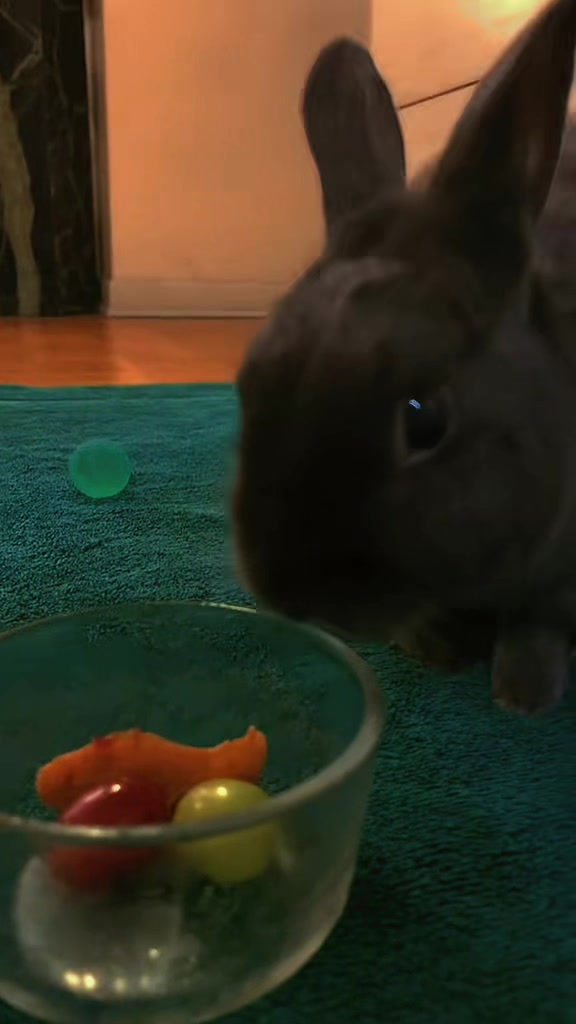 @💙🐰 Cutesy 🐰💙