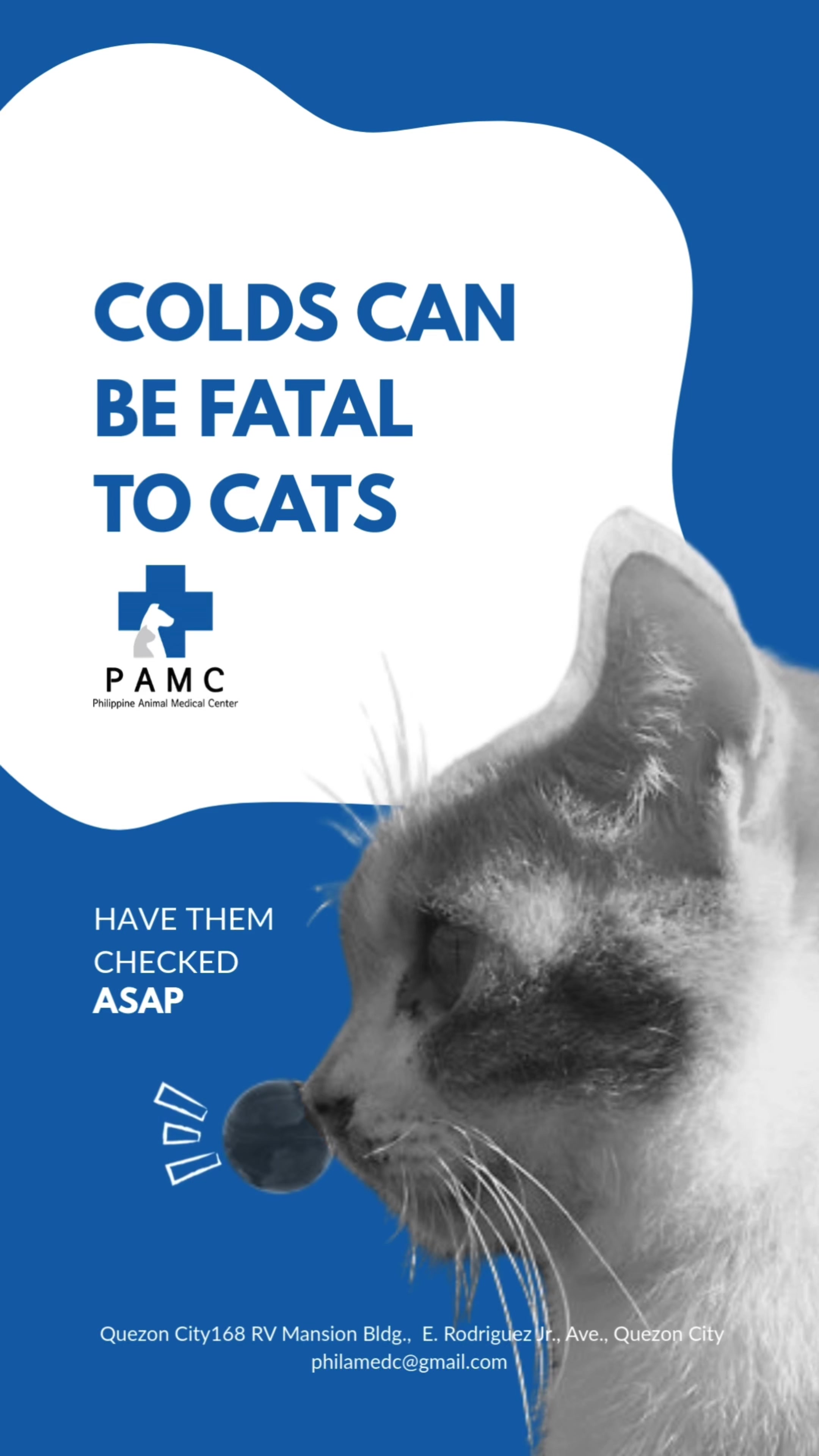 @PAMC