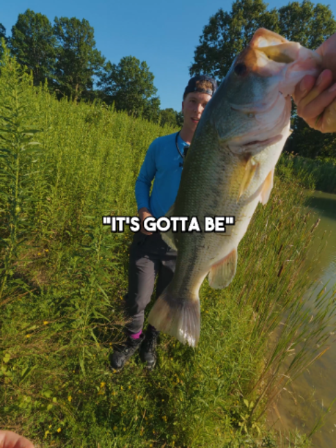 @Stef Fish