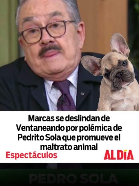 @Al Día TV