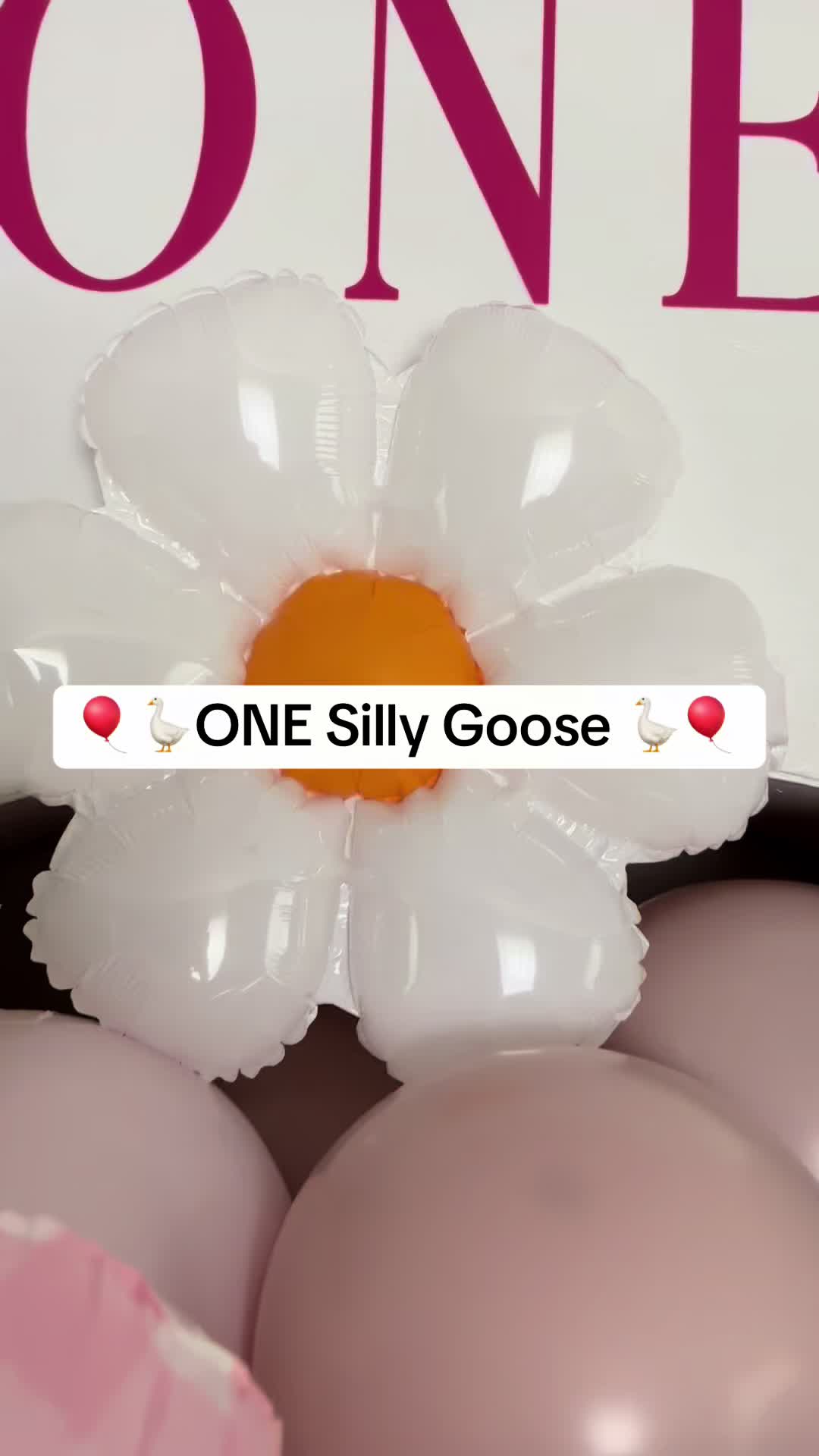 @Taccone Balloon Decor LLC