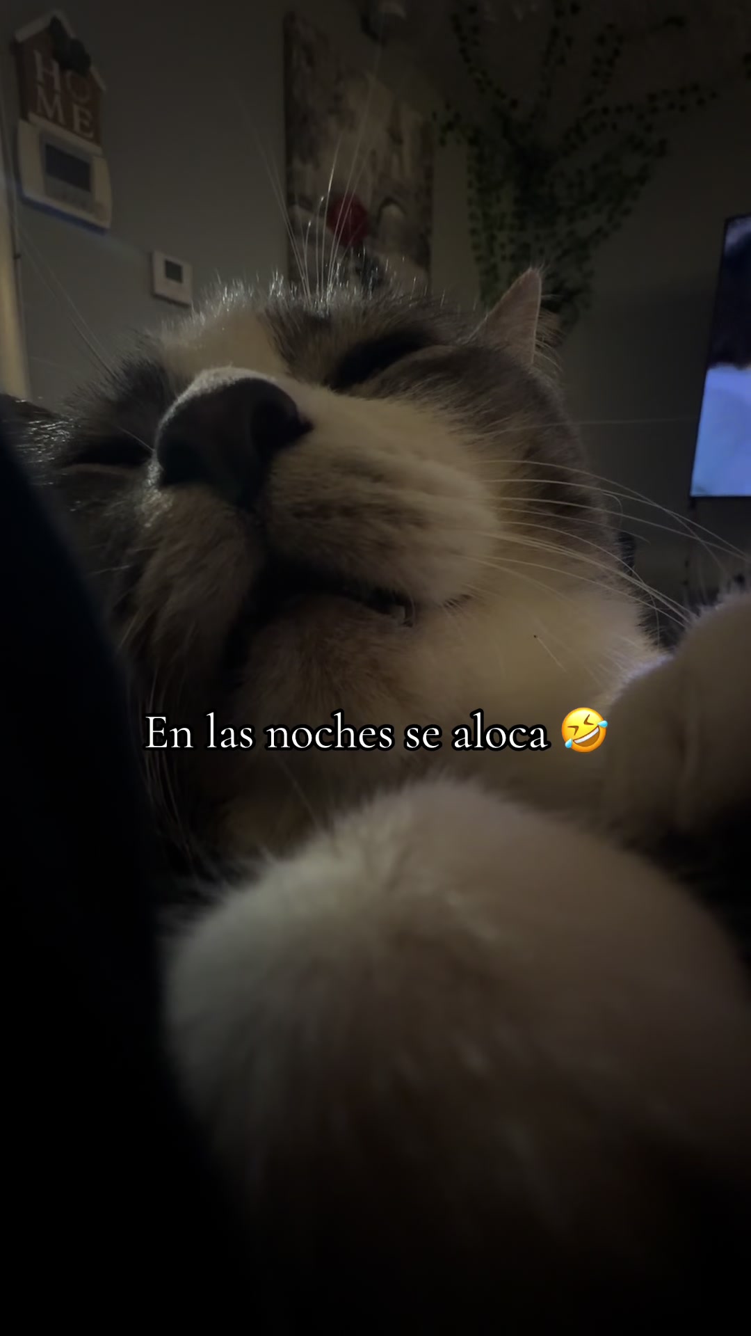 @Vanessa Mendoza