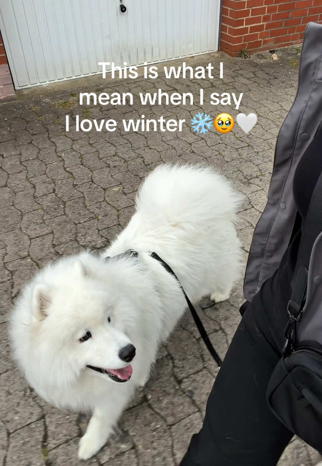@snowydayswithlio