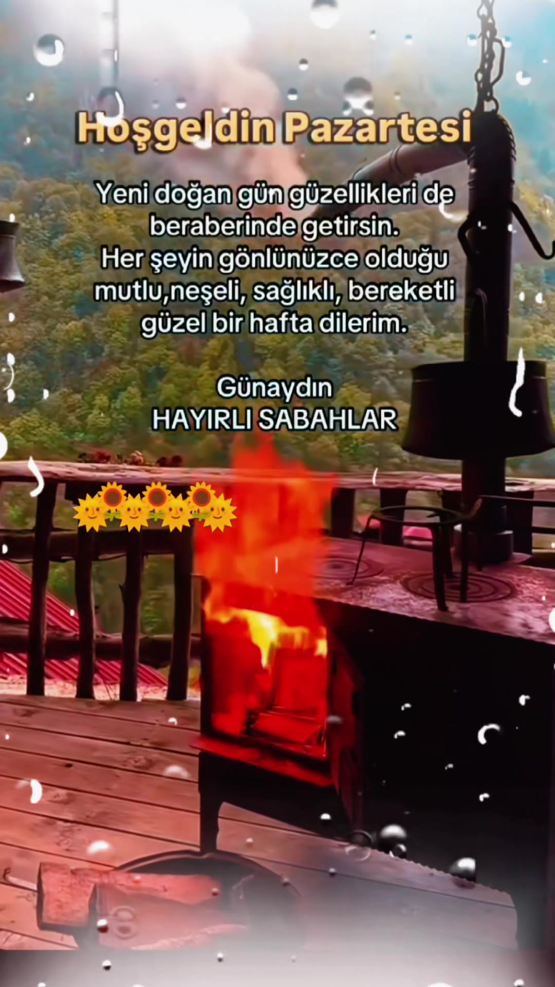 @Elisa