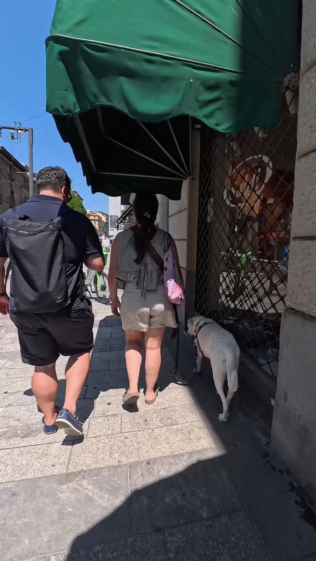@Doggodaiily