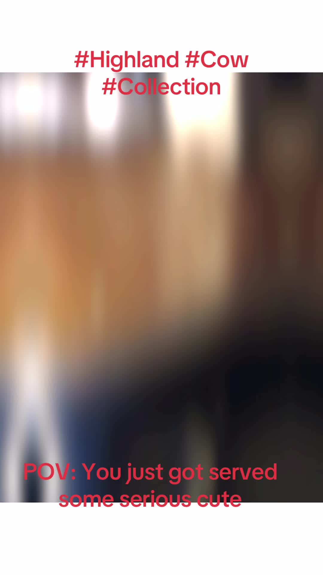 @3DPrinter