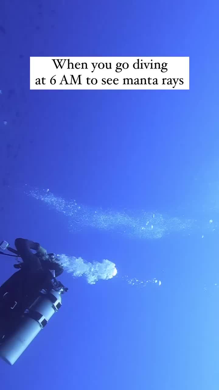 @Scuba Diving with Ara
