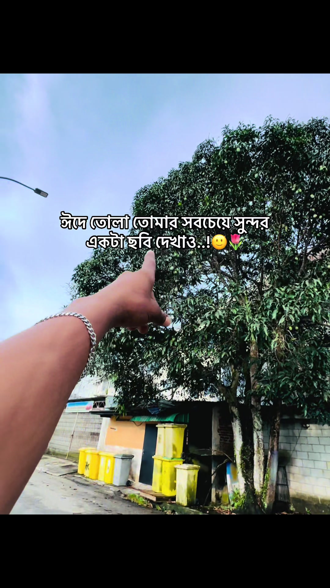 @đ° đĻ đ đ đ đ đ°'âĄ