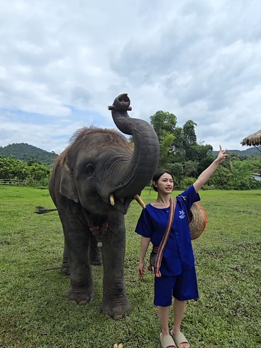@ควาญแดง พลายภูพิงค์