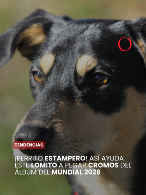 @La Crónica de Hoy