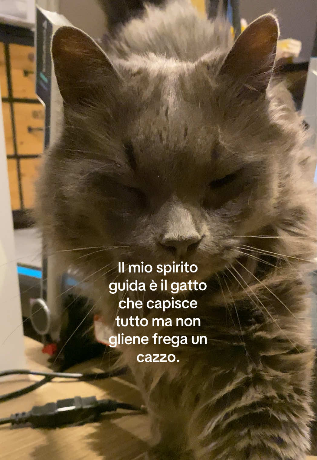 @Francesca Fontana